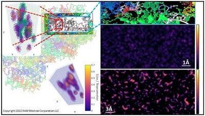 A ThEA platform map of the side chains in the SARS-CoV-2 spike protein receptor-binding domain (RBD), and a map of the hydrogen-bonding network in the spike (S) protein directly from in vitro samples. The left side of the image shows how the system compiles small segments that are detected and analyzed to construct a map of the protein at the scale of individual atoms. A ThEA platform map of the side chains in the SARS-CoV-2 spike protein receptor-binding domain (RBD), and a map of the hydrogen-bonding network in the spike (S) protein directly from in vitro samples. The left side of the image shows how the system compiles small segments that are detected and analyzed to construct a map of the protein at the scale of individual atoms.