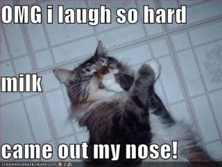 cat-laugh-milk-nose