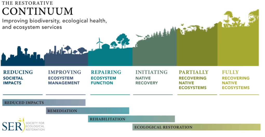 The UN Decade on Ecological Restoration: Ten Guiding Principles