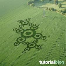 http://paradoxoff.com/do-it-yourself-circles-on-the-crops.html