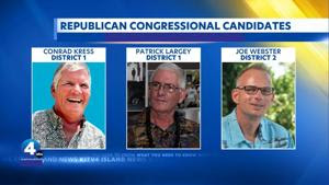Meet the GOP candidates looking to flip Hawaii's U.S. House seats