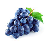 Resveratrol