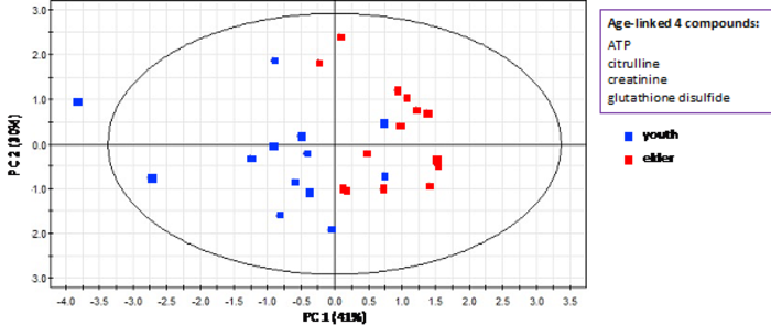 A graph showing the distribution of 27 subjects based on four age-linked metabolites as an index.