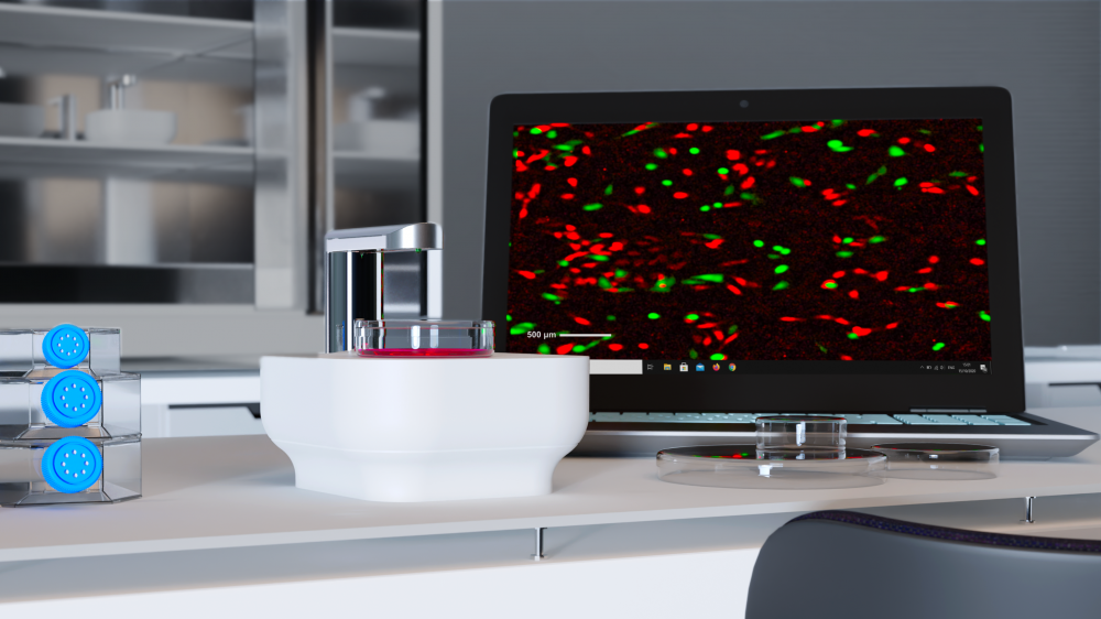 CytoSMART new
fluorescence live-cell imager enables researchers to unravel cellular processes in real-time. 