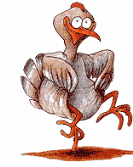 turkey dancing