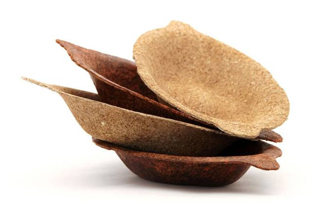Биоразлагаемые одноразовые тарелки изготовлены из пищевых отходов. Facepla.net последние новости экологии