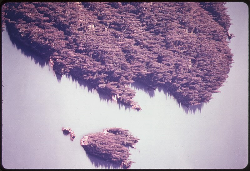 File:PORT VALDEZ WATERS APPEAR MILKY UNDER SOME LIGHTING CONDITIONS AS A RESULT OF SUSPENDED SEDIMENTS DUMPED INTO THE SEA... - NARA - 555700.jpg