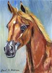 Arabian Horse ACEO - Posted on Wednesday, December 31, 2014 by Janet Graham