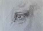 Study of Horse Eye - Posted on Thursday, December 11, 2014 by Dawn Melka
