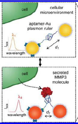 Plasmon ruler_MMP3