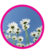 https://zeroogm.files.wordpress.com/2015/03/fiori.png