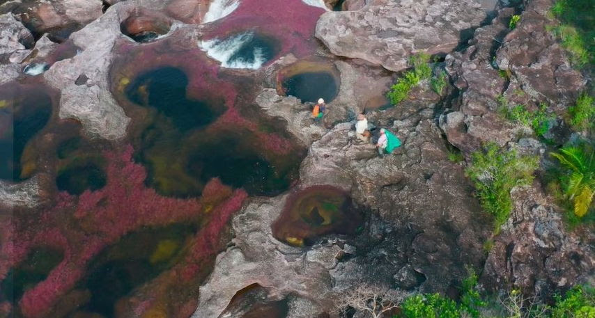 Caño cristales: El río arco iris