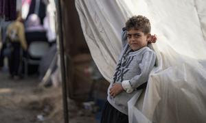 В лагерях на юге сектора Газы нашли временный приют тысячи семей.  