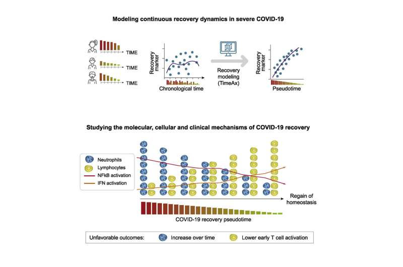 New insights into the processes of recovery after severe COVID-19