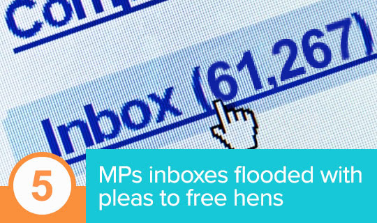 Inboxes filled with messages on behalf of hens
