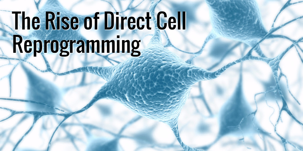 Direct Cell Reprogramming