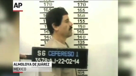 Captured Drug Lord Joaquin "El Chapo" Guzman will not Decrease Drug Supply
