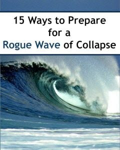 15 Ways to Prepare for a Rogue Wave of Collapse 15 Ways to Prepare for a Rogue Wave of Collapse