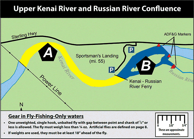 Russian River Sanctuary Opens Early for Sport Fishing 