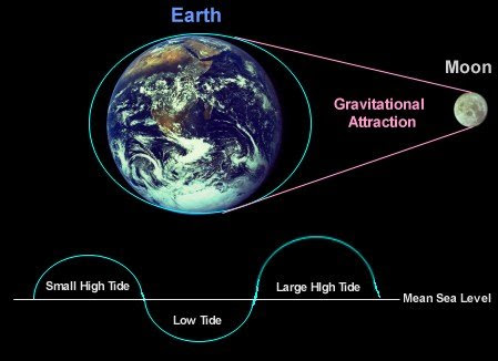 4 How Does The Moon S Gravity Move Our Oceans