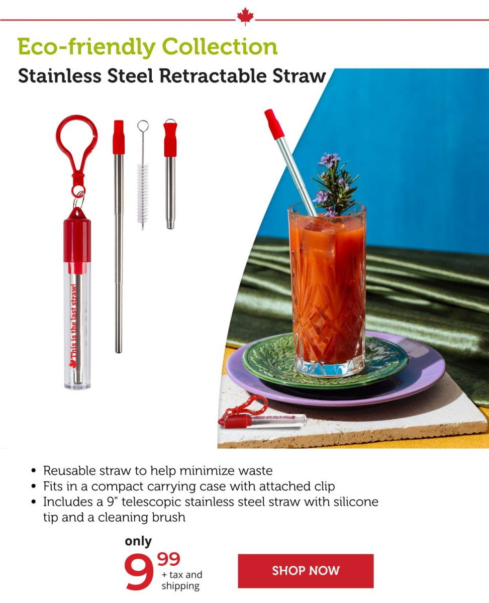 Stainless Steel Retractable Straw