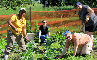 Volunteers-in-community-gardening2