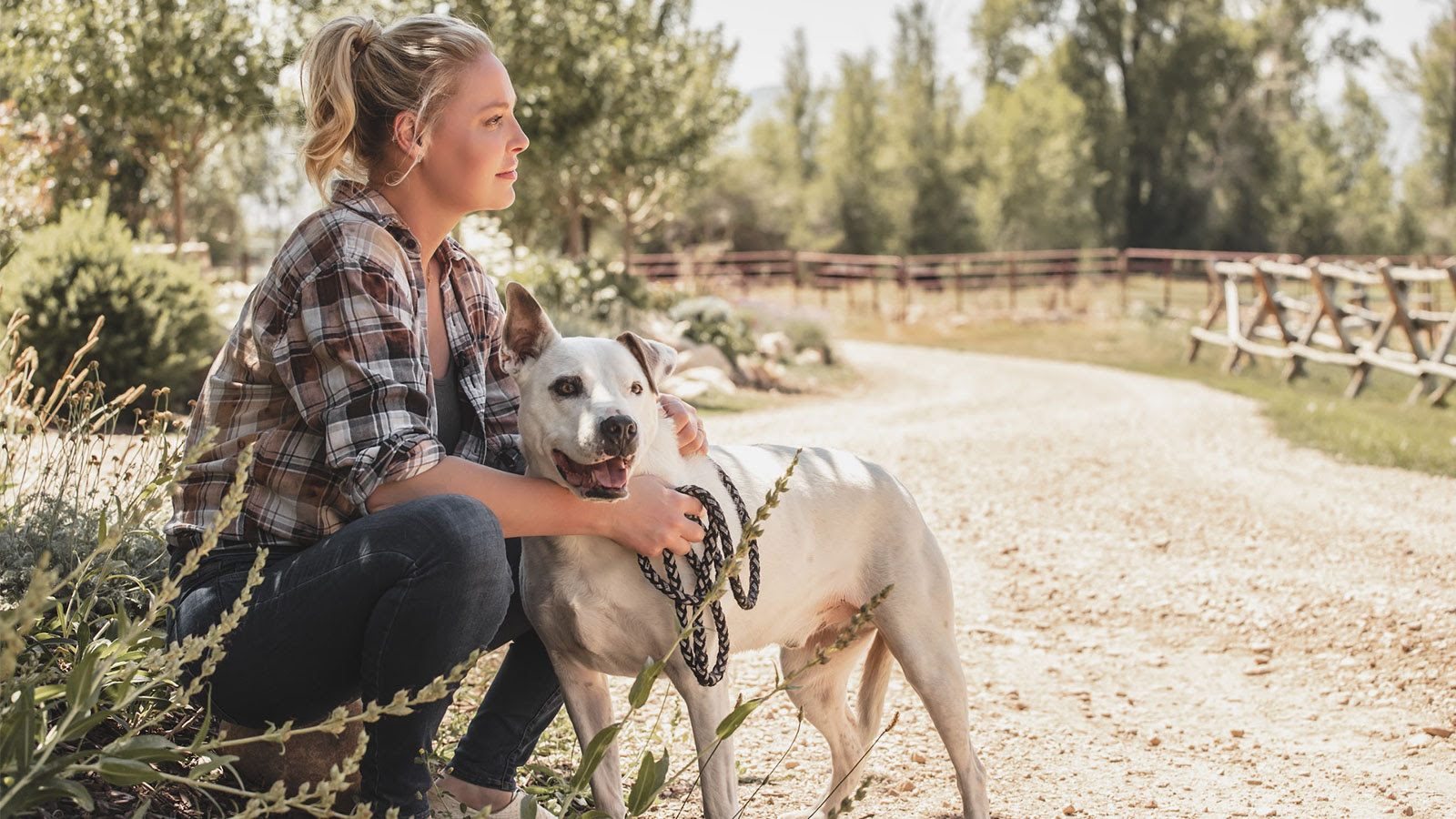 Katherine Heigl Reveals: How I Helped My Dogs Health