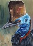 Cassowary ACEO - Posted on Thursday, December 4, 2014 by Janet Graham