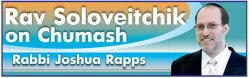 Rapps-Rabbi-Joshua-logo-NEW