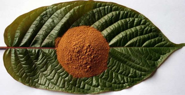  Non-addictive Natural Pain Killer Kratom Relieves Chronic Pain, Depression - Leave Rx Drugs Behind