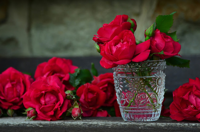 Las rosas rojas forman parte de la simbología de San Valentín