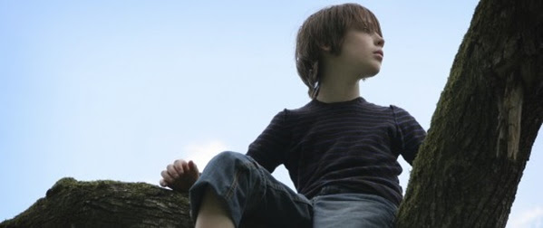 Boy-Tree_586x300-586x300