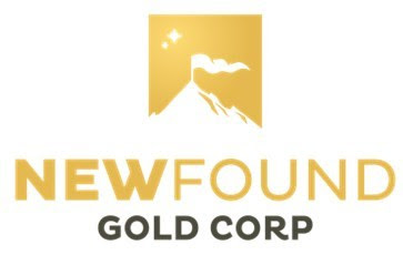 Homepage - New Found Gold Corp.