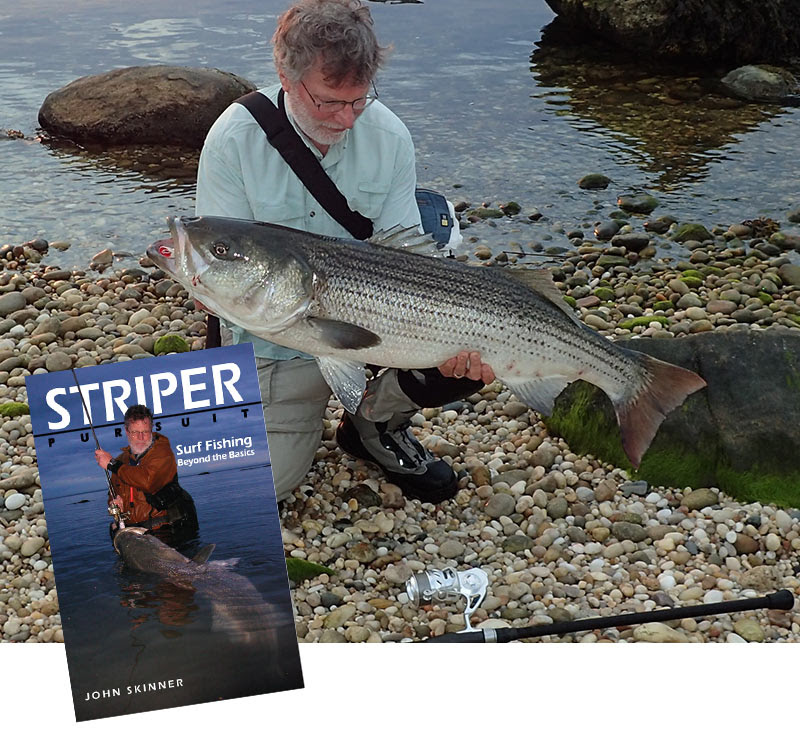 Striper Pursuit by John Skinner