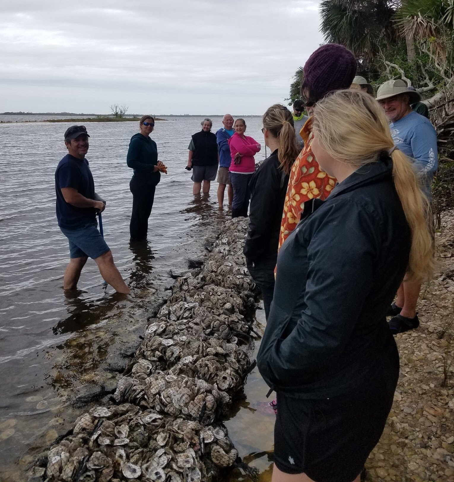 A group of UCF Students learn about coastal restoration