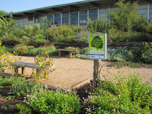 The National Wildlife Federation is hosting a winter gardening class this Saturday.