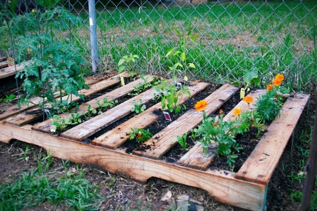 5 Ways To Grow Organic Food In Small Spaces For Preppers, Survivalists And Every Day Folks