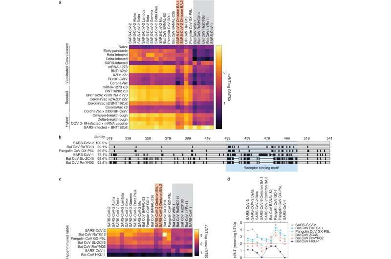 New comparative study provides insight on the rise of omicron