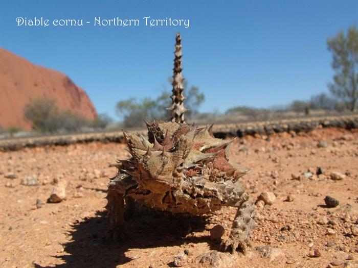 beautiful Australia