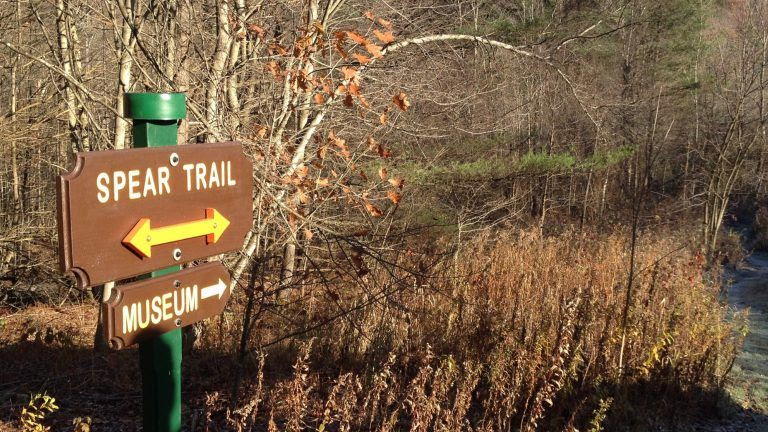 A sign reading 'Spear Trail' with arrows, and another reading 'Museum' with one arrow in left foreground; late fall forest in background.