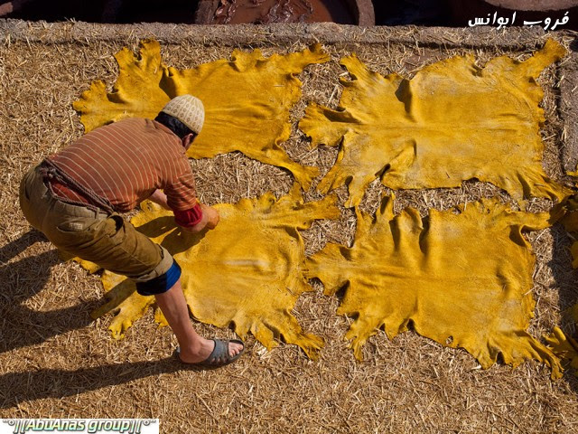 دباغة الجلود في فاس