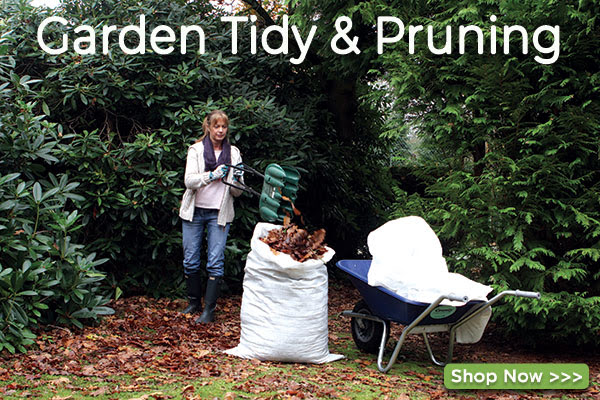 Garden Tidy & Pruning