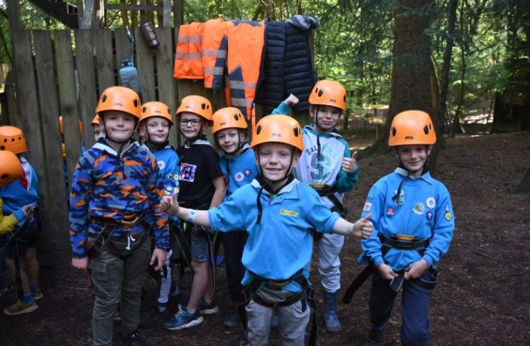 Epsom Beavers away in Surrey woods