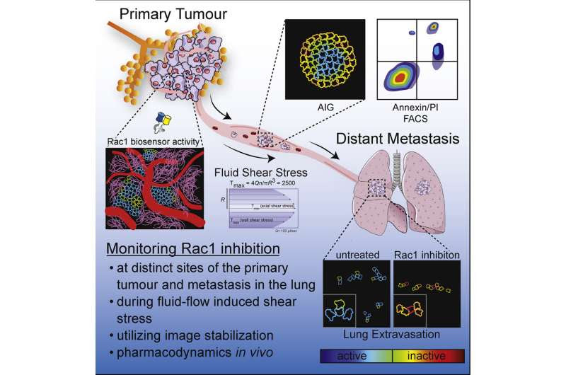 Advanced imaging reveals breast cancer's Achilles' heel