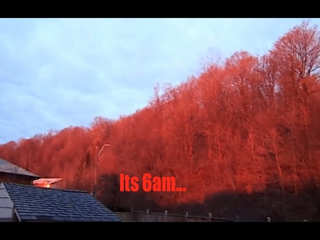 Strange Phenomenon - Entire Forest Turns *RED* in Ontario as residents look in AWE!  Sddefault