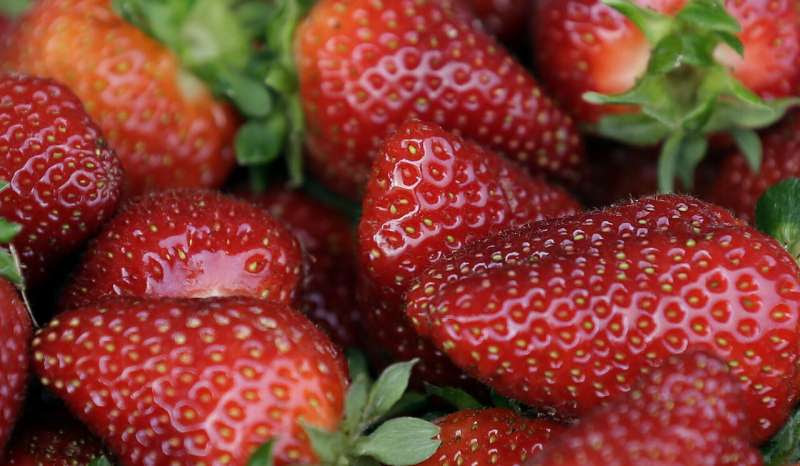 US, Canadian regulators tie hepatitis cases to strawberries