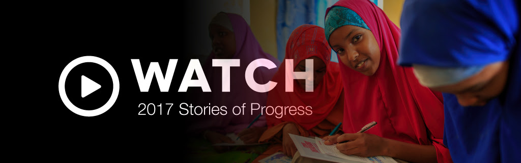 Watch 2017 Stories of Progress