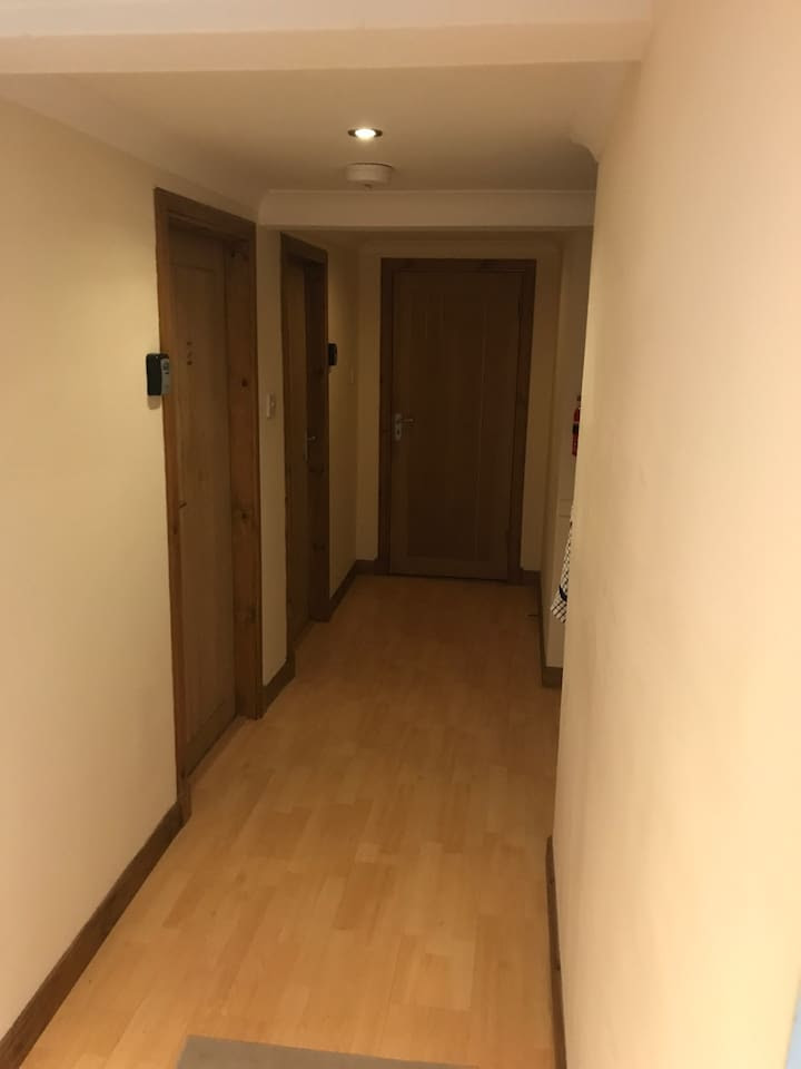 Step attachment