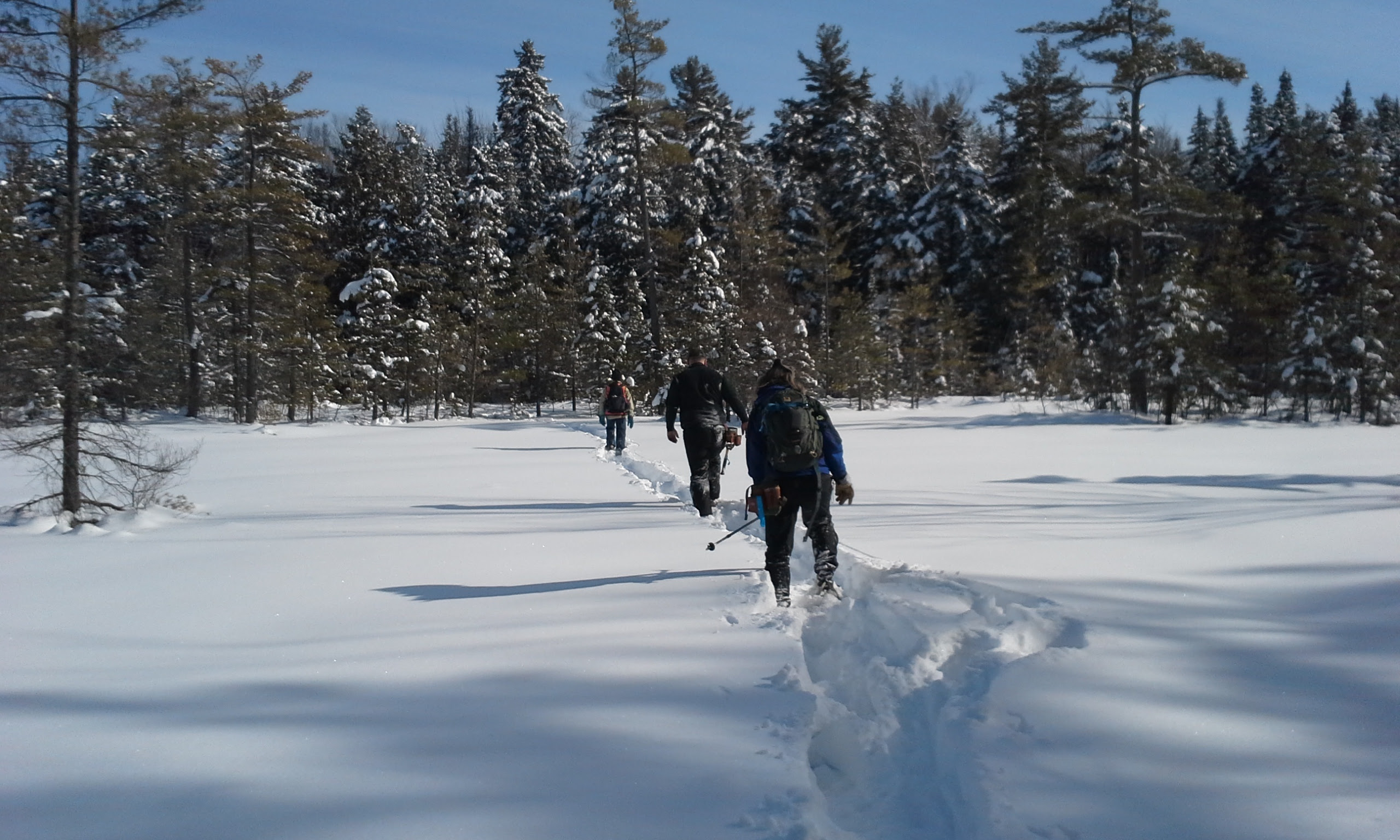 boundary-marking-winter.jpg