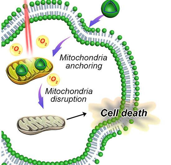 How to shut down the power stations of cancer cells